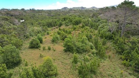 VENDE-SE TERRENOS NA CANDELÁRIA, MADALENA DO PICO