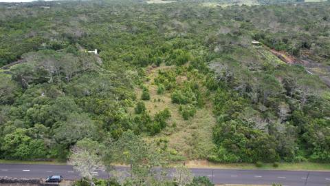 VENDE-SE TERRENOS NA CANDELÁRIA, MADALENA DO PICO