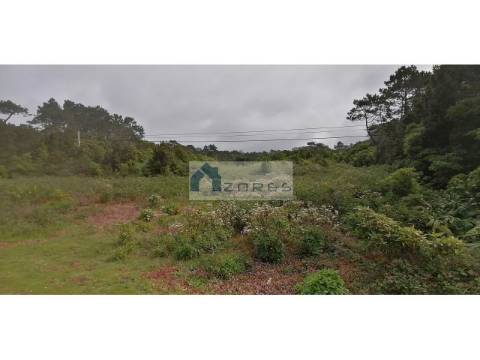 VENDE-SE TERRENOS NA CANDELÁRIA, MADALENA DO PICO