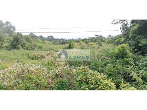 VENDE-SE TERRENOS NA CANDELÁRIA, MADALENA DO PICO