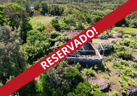 VENDE-SE VINHA COM PEQUENA ADEGA, EM SANTO ANTÓNIO, SÃO ROQUE DO PICO