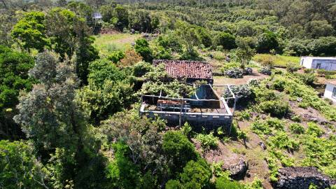 VENDE-SE VINHA COM PEQUENA ADEGA, EM SANTO ANTÓNIO, SÃO ROQUE DO PICO