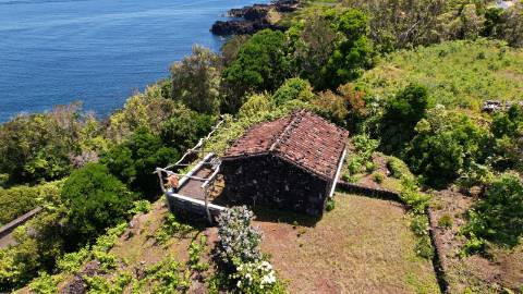 VENDE-SE VINHA COM PEQUENA ADEGA, EM SANTO ANTÓNIO, SÃO ROQUE DO PICO