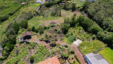 VENDE-SE VINHA COM PEQUENA ADEGA, EM SANTO ANTÓNIO, SÃO ROQUE DO PICO