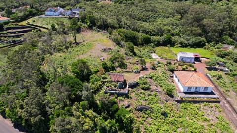 VENDE-SE VINHA COM PEQUENA ADEGA, EM SANTO ANTÓNIO, SÃO ROQUE DO PICO