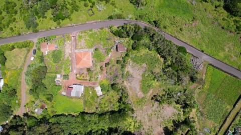 VENDE-SE VINHA COM PEQUENA ADEGA, EM SANTO ANTÓNIO, SÃO ROQUE DO PICO