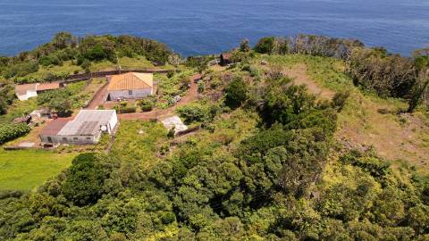 VENDE-SE VINHA COM PEQUENA ADEGA, EM SANTO ANTÓNIO, SÃO ROQUE DO PICO