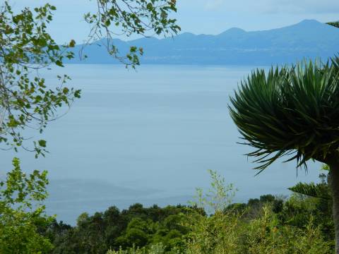 VENDE-SE MORADIA NA RIBEIRA SECA, CALHETA DE SÃO JORGE