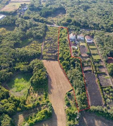VENDE-SE TERRENO PARA CONSTRUÇÃO NA MADALENA DO PICO