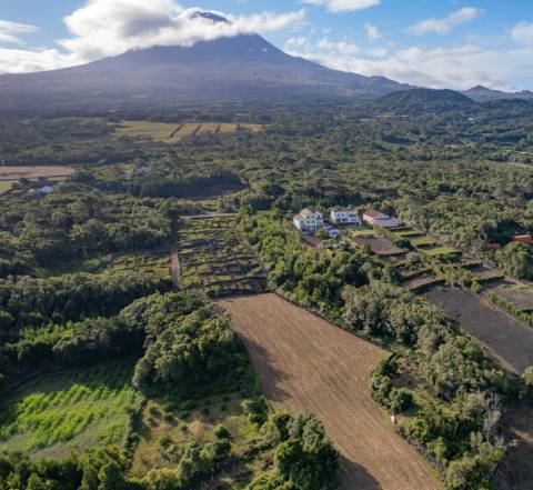 VENDE-SE TERRENO PARA CONSTRUÇÃO NA MADALENA DO PICO