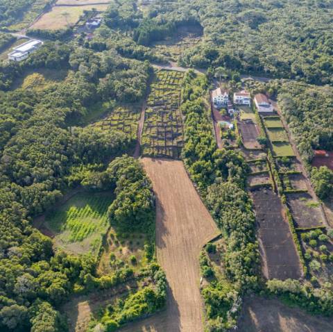 VENDE-SE TERRENO PARA CONSTRUÇÃO NA MADALENA DO PICO