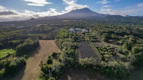 VENDE-SE TERRENO PARA CONSTRUÇÃO NA MADALENA DO PICO