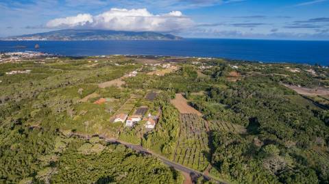 VENDE-SE TERRENO PARA CONSTRUÇÃO NA MADALENA DO PICO