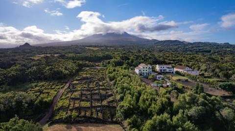 VENDE-SE TERRENO PARA CONSTRUÇÃO NA MADALENA DO PICO