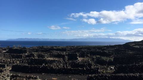 VENDE-SE TERRENO DE VINHAS COM VISTAS PANORÂMICAS NAS BANDEIRAS, MADALENA DO PICO