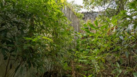VENDE-SE RUÍNAS EM SANTA LUZIA, SÃO ROQUE DO PICO