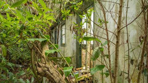 VENDE-SE RUÍNAS EM SANTA LUZIA, SÃO ROQUE DO PICO