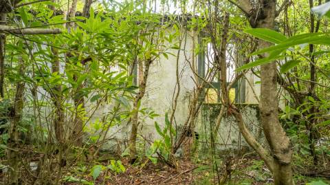 VENDE-SE RUÍNAS EM SANTA LUZIA, SÃO ROQUE DO PICO