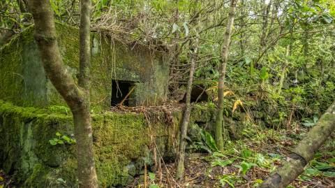 VENDE-SE RUÍNAS EM SANTA LUZIA, SÃO ROQUE DO PICO