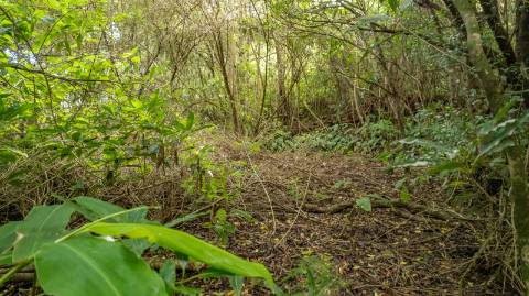 VENDE-SE RUÍNAS EM SANTA LUZIA, SÃO ROQUE DO PICO