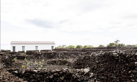 VENDE-SE EMPREENDIMENTO TURÍSTICO EM SÃO MATEUS, MADALENA DO PICO