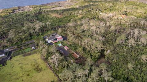 VENDE-SE TERRENO NA CANDELÁRIA, MADALENA DO PICO