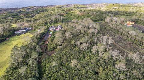 VENDE-SE TERRENO NA CANDELÁRIA, MADALENA DO PICO