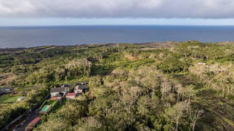 VENDE-SE TERRENO NA CANDELÁRIA, MADALENA DO PICO