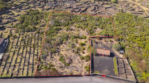 VENDE-SE TERRENO NO CABRITO, SANTA LUZIA, SÃO ROQUE DO PICO