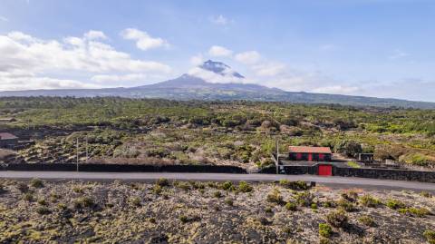 VENDE-SE TERRENO NO CABRITO, SANTA LUZIA, SÃO ROQUE DO PICO