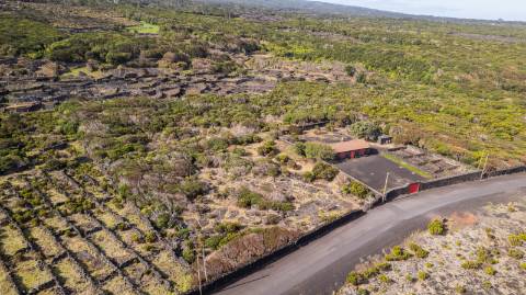 VENDE-SE TERRENO NO CABRITO, SANTA LUZIA, SÃO ROQUE DO PICO