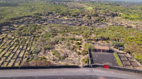 VENDE-SE TERRENO NO CABRITO, SANTA LUZIA, SÃO ROQUE DO PICO
