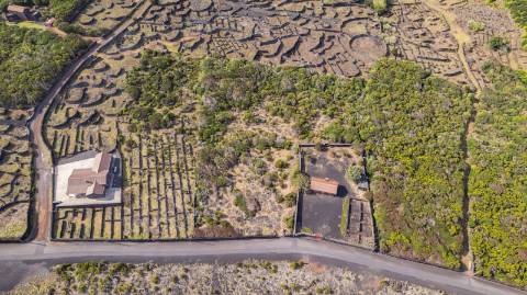VENDE-SE TERRENO NO CABRITO, SANTA LUZIA, SÃO ROQUE DO PICO