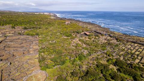 VENDE-SE TERRENO NO CABRITO, SANTA LUZIA, SÃO ROQUE DO PICO