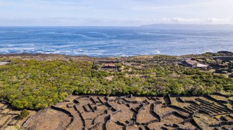 VENDE-SE TERRENO NO CABRITO, SANTA LUZIA, SÃO ROQUE DO PICO