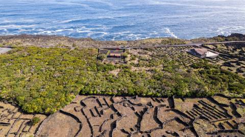 VENDE-SE TERRENO NO CABRITO, SANTA LUZIA, SÃO ROQUE DO PICO