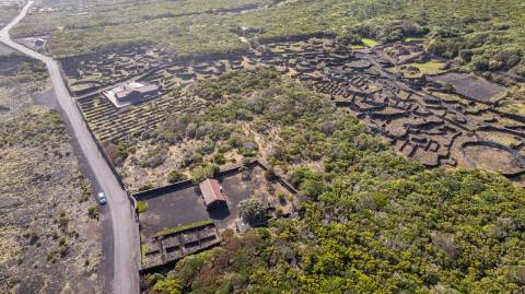 VENDE-SE TERRENO NO CABRITO, SANTA LUZIA, SÃO ROQUE DO PICO