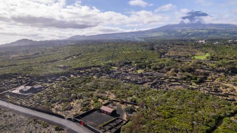 VENDE-SE TERRENO NO CABRITO, SANTA LUZIA, SÃO ROQUE DO PICO