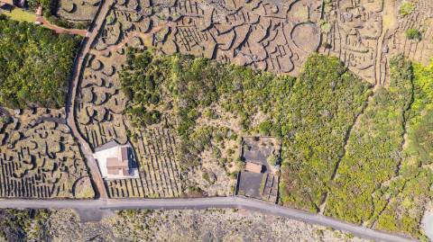 VENDE-SE TERRENO NO CABRITO, SANTA LUZIA, SÃO ROQUE DO PICO