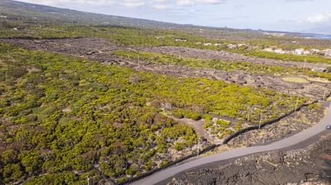 VENDE-SE TERRENO NO CABRITO, SANTA LUZIA, SÃO ROQUE DO PICO
