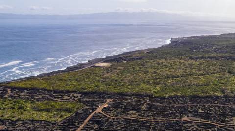 VENDE-SE TERRENO NO CABRITO, SANTA LUZIA, SÃO ROQUE DO PICO
