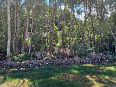 VENDE-SE EXCELENTE MORADIA EM SÃO ROQUE DO PICO