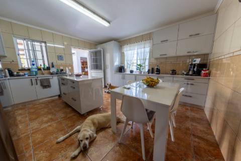 VENDE-SE MORADIA EM SÃO ROQUE DO PICO