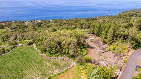 VENDE-SE TERRENO EM SÃO JOÃO, LAJES DO PICO