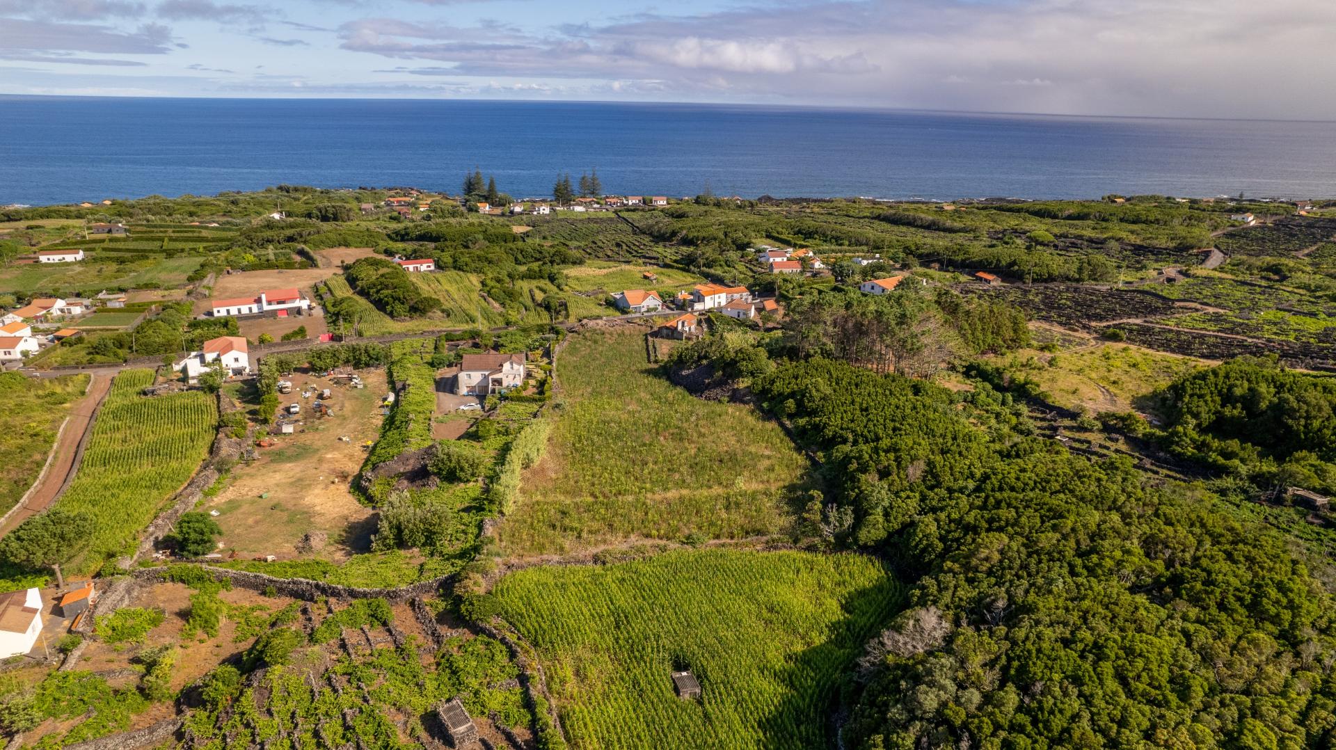 VENDE-SE TERRENO NOS TOLEDOS, MADALENA DO PICO