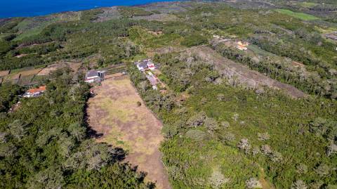 VENDE-SE TERRENO NA CANDELÁRIA, MADALENA DO PICO