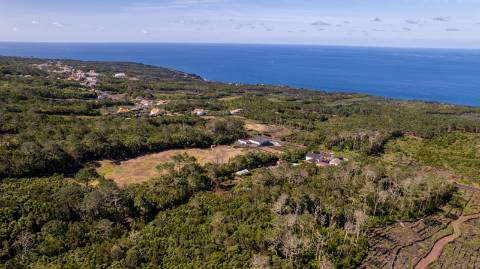 VENDE-SE TERRENO NA CANDELÁRIA, MADALENA DO PICO