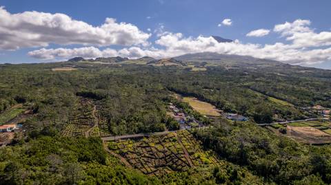 VENDE-SE TERRENO NA CANDELÁRIA, MADALENA DO PICO