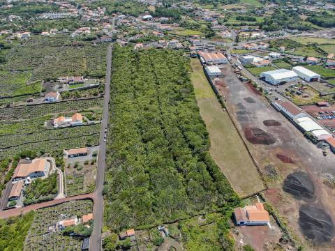 VENDE-SE MORADIA E AMPLO TERRENO NA MADALENA DO PICO