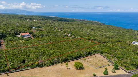 VENDE-SE TERRENO RÚSTICO EM SANTO ANTÓNIO, SÃO ROQUE DO PICO